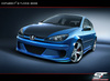 PEUGEOT 206 WIDE BODY V1